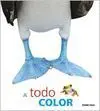 A Todo Color