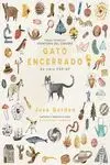 GATO ENCERRADO GATO ENCERRADO