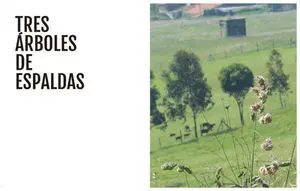 TRES ÁRBOLES DE ESPALDAS
