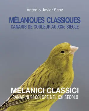 MÉLANIQUES CLASSIQUES - MELANICI CLASSICI