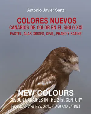 COLORES NUEVOS - NEW COLOURS