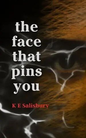 THE FACE THAT PINS YOU