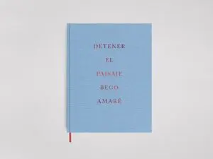 DETENER EL PAISAJE