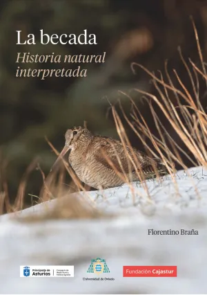 LA BECADA