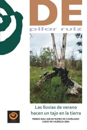 LAS LLUVIAS DE VERANO HACEN UN TAJO EN LA TIERRA