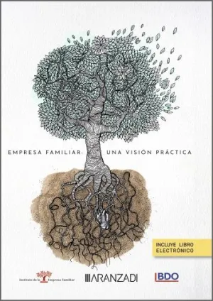 EMPRESA FAMILIAR: UNA VISIÓN PRÁCTICA