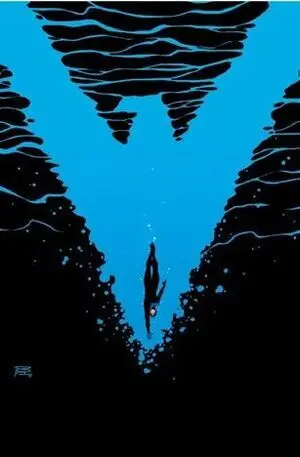 NIGHTWING 35