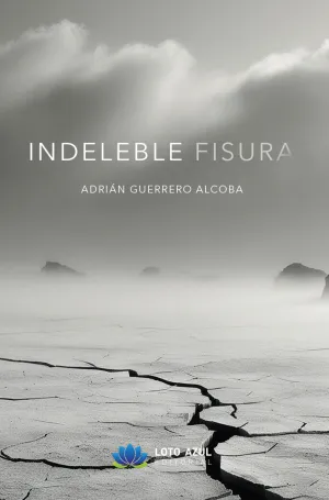 INDELEBLE FISURA