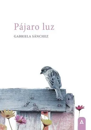 PÁJARO LUZ