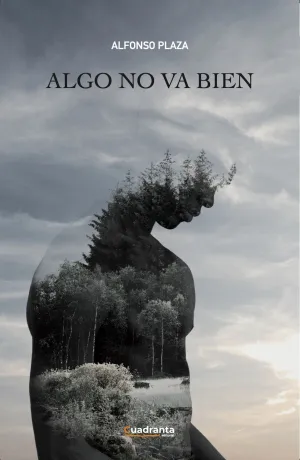 ALGO NO VA BIEN