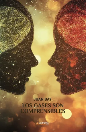 LOS GASES SON COMPRENSIBLES