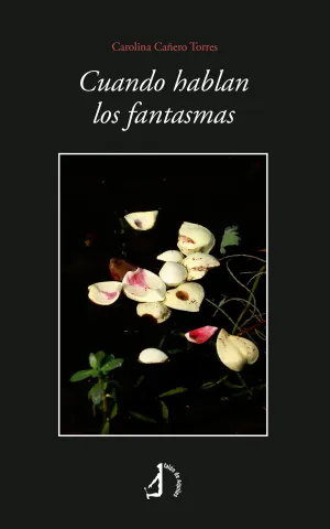 CUANDO HABLAN LOS FANTASMAS