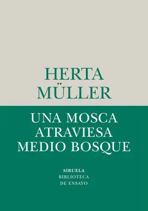 UNA MOSCA ATRAVIESA MEDIO BOSQUE