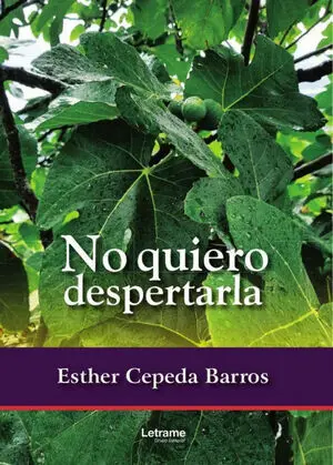NO QUIERO DESPERTARLA