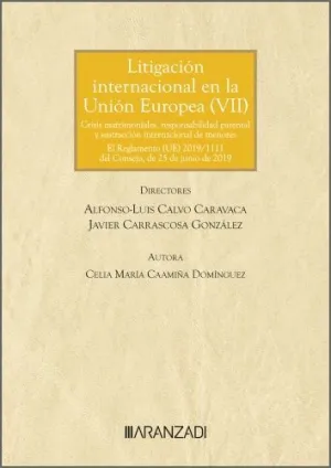 LITIGACIÓN INTERNACIONAL EN LA UNIÓN EUROPEA (VII)