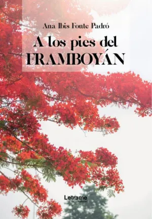 A LOS PIES DEL FRAMBOYÁN