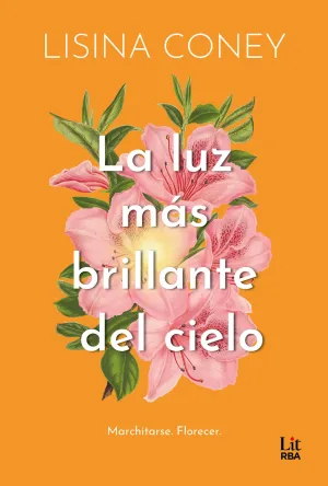 LA LUZ MÁS BRILLANTE DEL CIELO (EBOOK)
