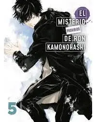 EL MISTERIO PROHIBIDO DE RON KAMONOHASHI, 5