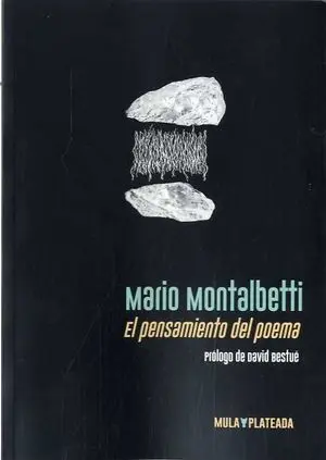 PENSAMIENTO DEL POEMA, EL PENSAMIENTO DEL POEMA, EL