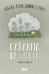 MAÑANITA DE NIEBLA