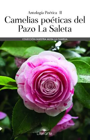 CAMELIAS POÉTICAS DEL PAZO LA SALETA CAMELIAS POÉTICAS DEL PAZO LA SALETA