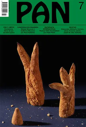 PAN 7