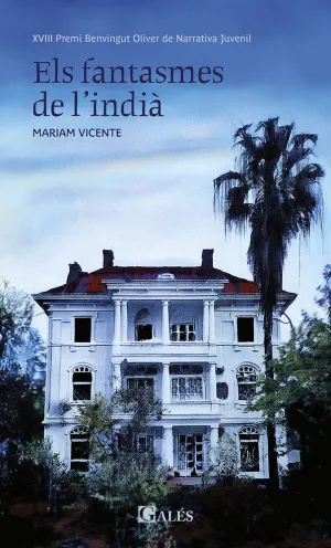 FANTASMES DE L'INDIA, ELS ( XVIII PREMI BENVINGUT OLIVER DE NARRATIVA JUVENIL )