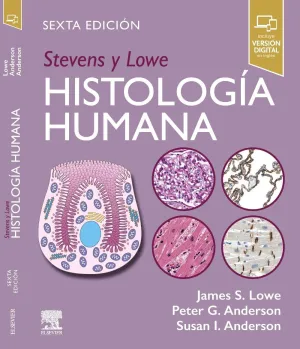 STEVENS Y LOWE. HISTOLOGÍA HUMANA