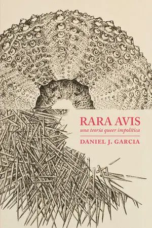 Rara Avis