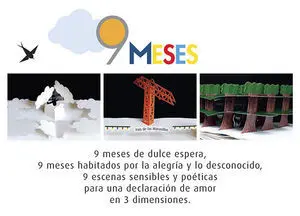 9 Meses