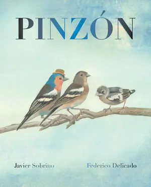 Pinzon