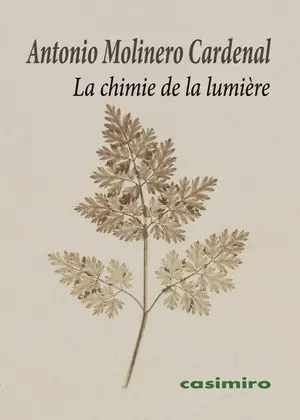 LA CHIMIE DE LA LUMIÈRE