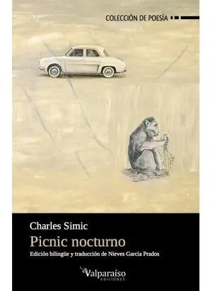 PICNIC NOCTURNO