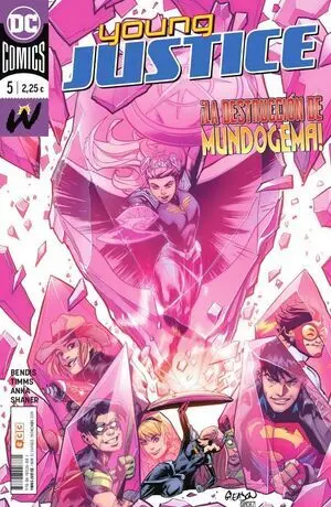 YOUNG JUSTICE 05