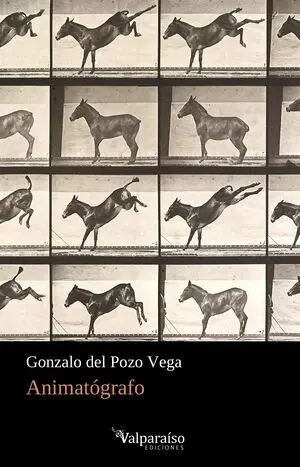 ANIMATOGRAFO ANIMATOGRAFO