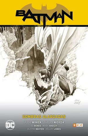 BATMAN 9 SOMBRAS ALARGADAS BATMAN SAGA R