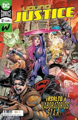 YOUNG JUSTICE 12