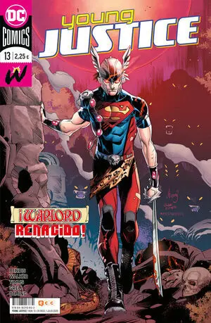 YOUNG JUSTICE 13