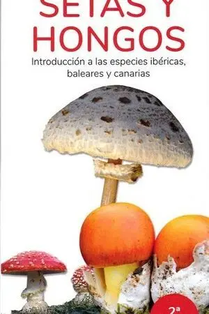 Setas y Hongos Introduccion a las Especies Iberica