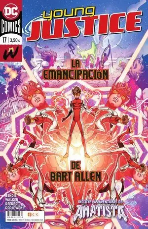 YOUNG JUSTICE 17