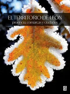 EL TERRITORIO DE LEÓN: PROVINCIA, COMARCAS Y CIUDADES