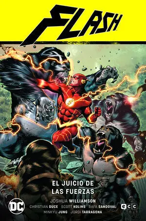 FLASH 7 EL JUICIO DE LAS FUERZAS FLASH S