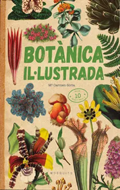 Botànica Il·lustrada