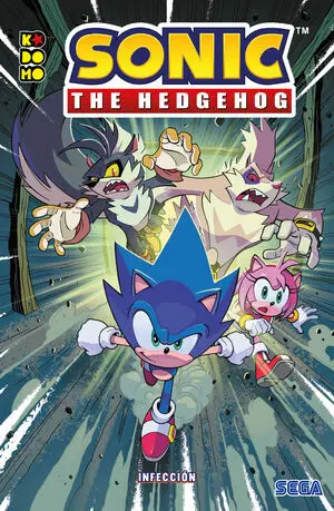 SONIC THE HEDGEHOG 31