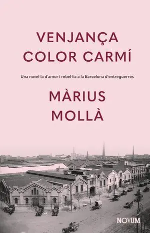 VENJANÇA COLOR CARMÍ