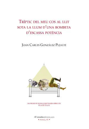 TRÍPTIC DEL MEU COS AL LLIT SOTA LA LLUM D'UNA BOMBETA D'ESCASSA POTÈNCIA