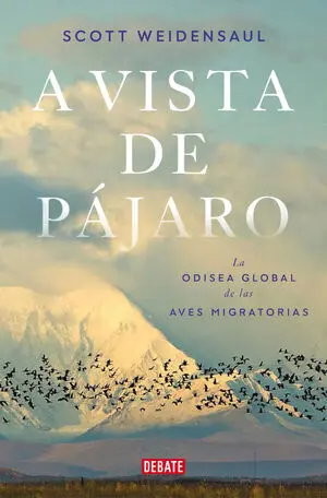 A VISTA DE PÁJARO