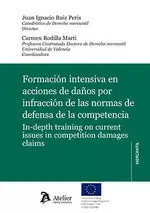 FORMACION INTENSIVA EN ACCIONES DE DAÃOS POR INFRACCION DE LAS NORMAS