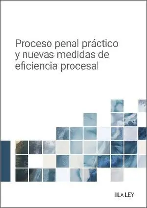 PROCESO PENAL PRÁCTICO Y NUEVAS MEDIDAS DE EFICIENCIA PROCESAL