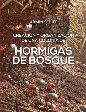 HORMIGAS DEL BOSQUE